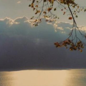 Divine Lumière ( Marie - Pascale PETIT ) Divine Lumière ( Marie - Pascale PETIT )