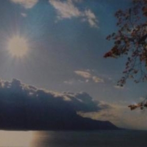 Marie - Pascale PETIT Marie - Pascale PETIT