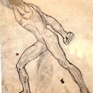 Etude du gladiateur Borghèse ( Rodin ) Etude du gladiateur Borghèse ( Rodin )