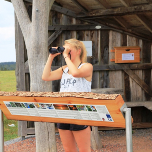 Holzheim_panoramatafel ( www.ostbelgien.eu )