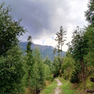 Vue sur les Hautes Tatras ( photo : F. Detry )