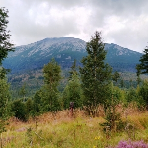 Vue sur les Hautes Tatras ( photo : F. Detry )