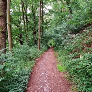 Montée vers l'Ermitage
