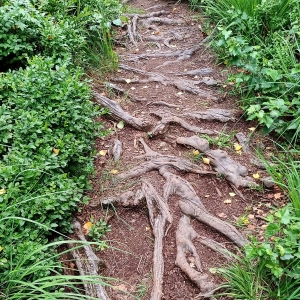 Montée vers les crêtes de Bernister