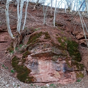Le site de Basse - Bodeux  ( photo François Detry )