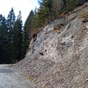 Vallée du Bayehon et son sol schisteux