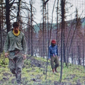 Des cueilleurs ... Des cueilleurs ...