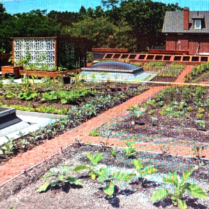 Des toits comme surfaces agricoles !