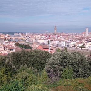 Au revoir, Florence ....(photo F. Detry ) Au revoir, Florence ....(photo F. Detry )