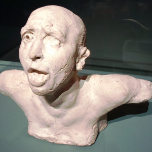 Le cri ( Rodin ) Le cri ( Rodin )