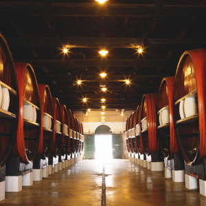 Marseillan ( Photo O.T. Marseillan ) Marseillan ( Photo O.T. Marseillan )