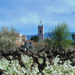 Marseillan ( Photo O.T. Marseillan ) Marseillan ( Photo O.T. Marseillan )