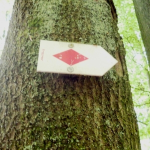 Signalisation de la randonnée