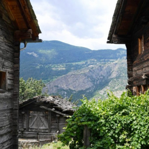 Photo 8  Oberstalden   ( Myriam Thys )