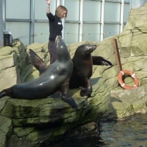 Nausicaà. Boulogne-sur-Mer