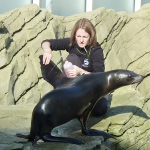 Nausicaà. Boulogne-sur-Mer