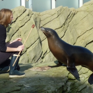 Nausicaà. Boulogne-sur-Mer