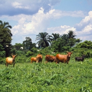 Vacances aux Bianos Vacances aux Bianos