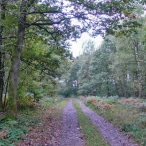 Promenades de "L'Ange Gardien" (Rienne)