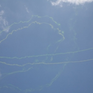 Aeroclub Les Faucons