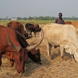 Vacances aux Bianos Vacances aux Bianos