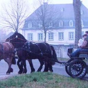 auberge-restaurant Lamy de Trois Vierges
