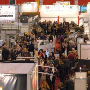 Megavino 2011