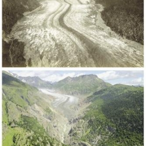 Glacier d'Aletsch