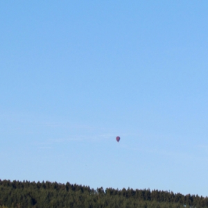 BELGIAN BALLOON TROPHY 2016 38