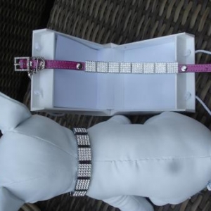 " L'univers animalier " à Hotton ; colliers pour petits chiens " L'univers animalier " à Hotton ; colliers pour petits chiens