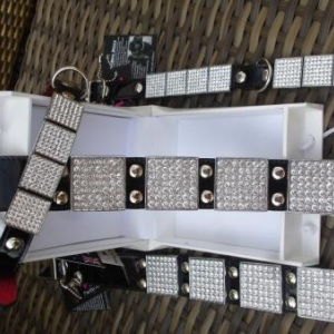 " L'univers animalier " à Hotton ; colliers pour petits chiens " L'univers animalier " à Hotton ; colliers pour petits chiens