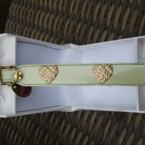 " L'univers animalier " à Hotton ; colliers pour petits chiens " L'univers animalier " à Hotton ; colliers pour petits chiens