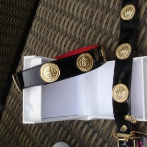 " L'univers animalier " à Hotton ; colliers pour petits chiens " L'univers animalier " à Hotton ; colliers pour petits chiens