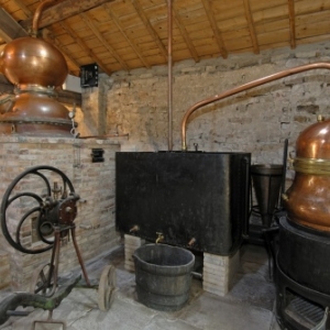 Ecomusee de la cerise