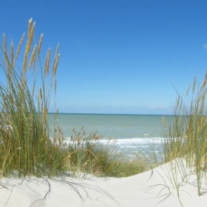 Baie de Somme