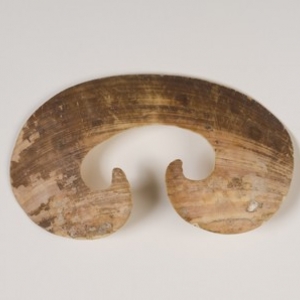 Parure de nez en coquillage bipane. 