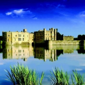 L. Castle