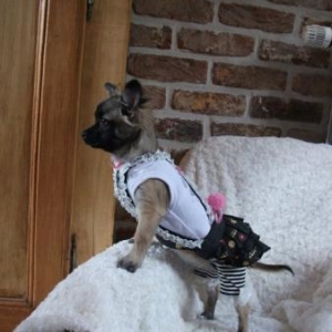 Izy vous presente sa jupe wooflink Izy vous presente sa jupe wooflink