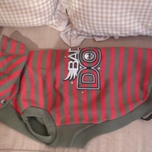 "L'univers animalier" : manteaux d'hiver "collection Wouapy" "L'univers animalier" : manteaux d'hiver "collection Wouapy"