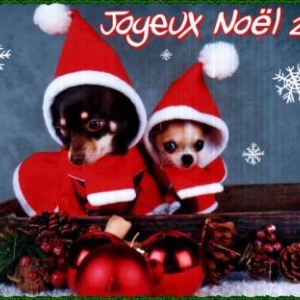 leelawadee et hatchepsout de fitvoye ginette de carnieres