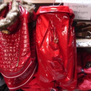 "L'univers animalier" : manteaux d'hiver "collection Wouapy"