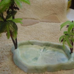 mangeoire pour bernard l'hermite mangeoire pour bernard l'hermite