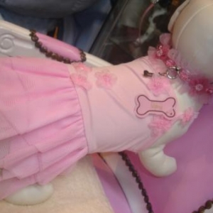 robe cotton et tulle 59 euro robe cotton et tulle 59 euro