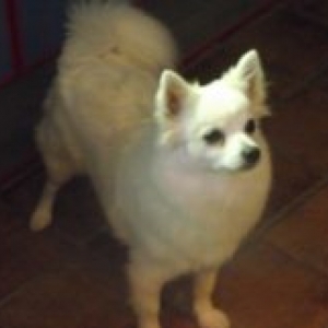 la famille de carine de eghezee