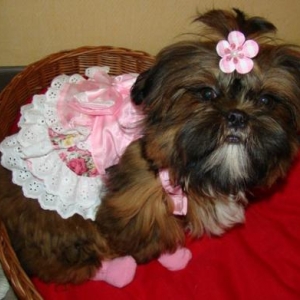 Babou