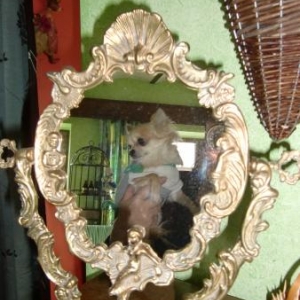 cherie