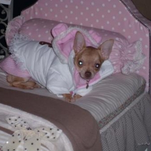 lola