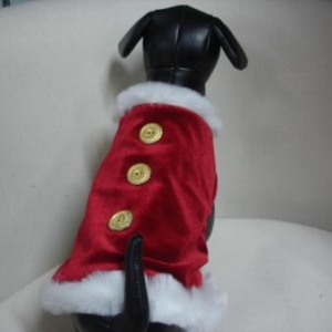 " L'univers animalier " Le Noël du chien " L'univers animalier " Le Noël du chien