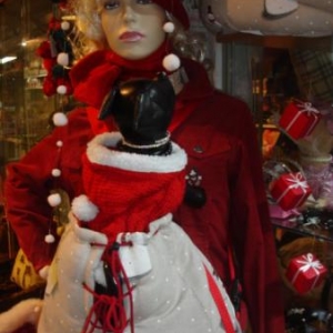 " L'univers animalier " Le Noël du chien " L'univers animalier " Le Noël du chien