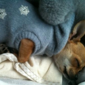 louna avec son pull FPO